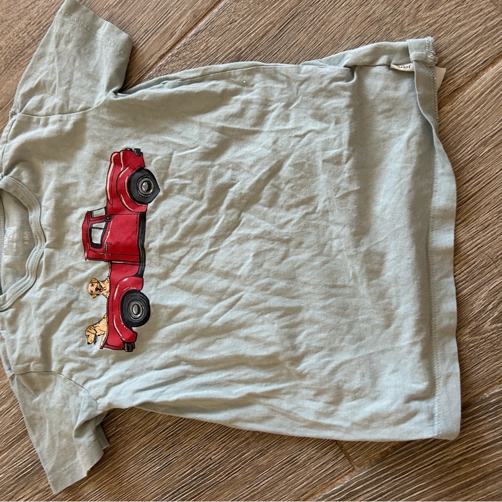 Crewcuts Light Blue Short Sleeve Tee with Red Truck and Puppies Graphic